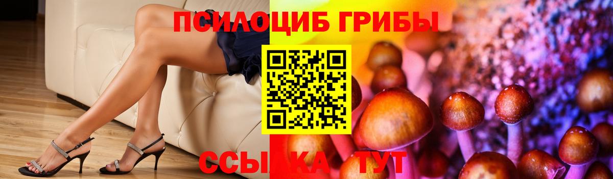 Галлюциногенные грибы прущие грибы  Галлюциногенные грибы MAGIC MUSHROOMS  Вход с VPN  Минеральные Воды 